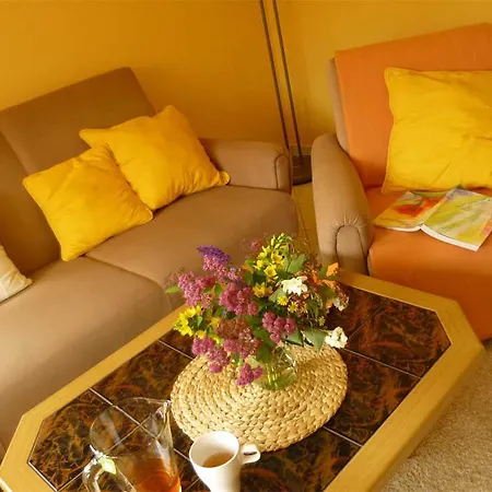 Ferienwohnung Holzhau Erz 081 Апартаменты Clausnitz